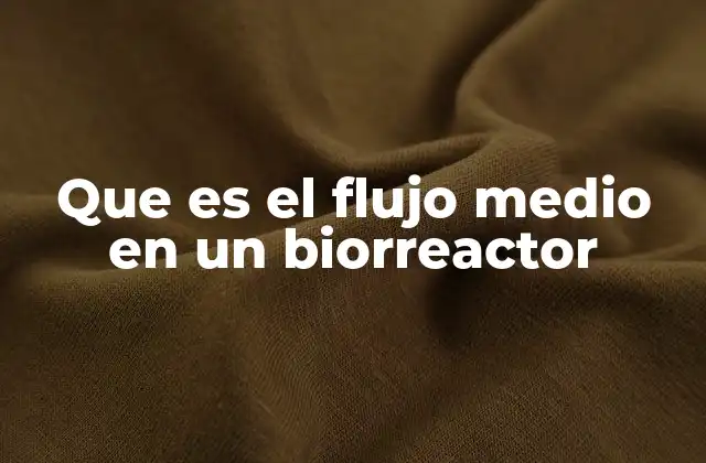 Que es el Flujo Medio en un Biorreactor 2 El papel del flujo medio en la dinámica de los biorreactores