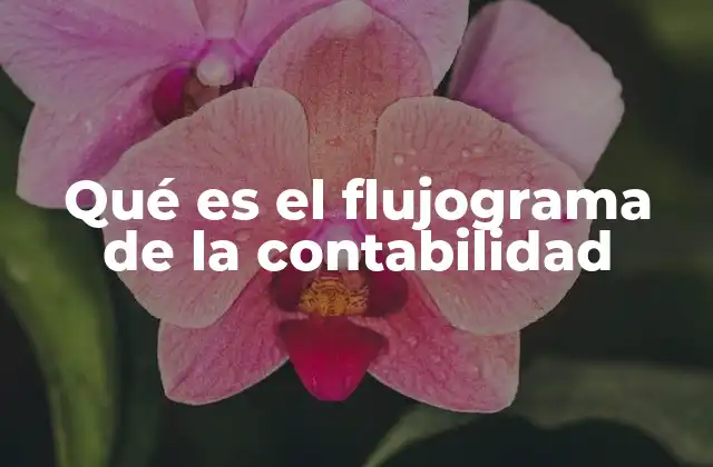 Qué es el Flujograma de la Contabilidad