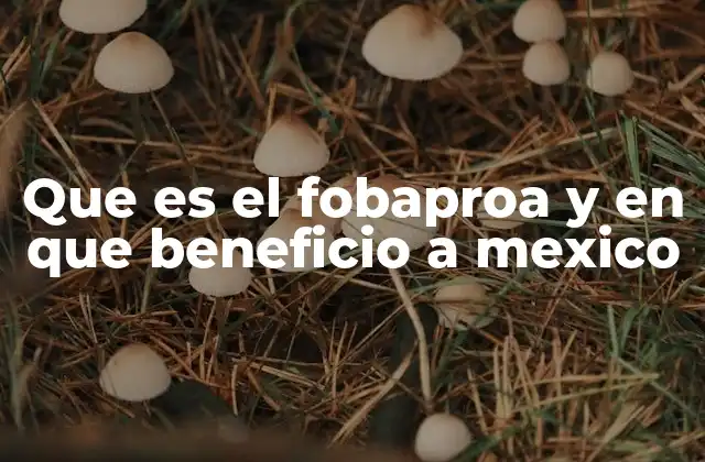 El papel del FOBAPROA en la seguridad económica de los trabajadores