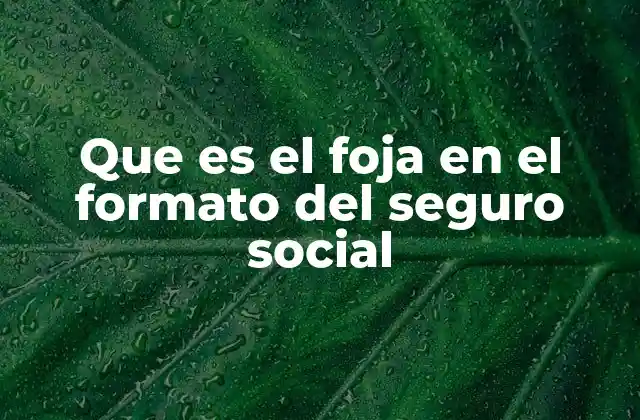 Que es el Foja en el Formato Del Seguro Social