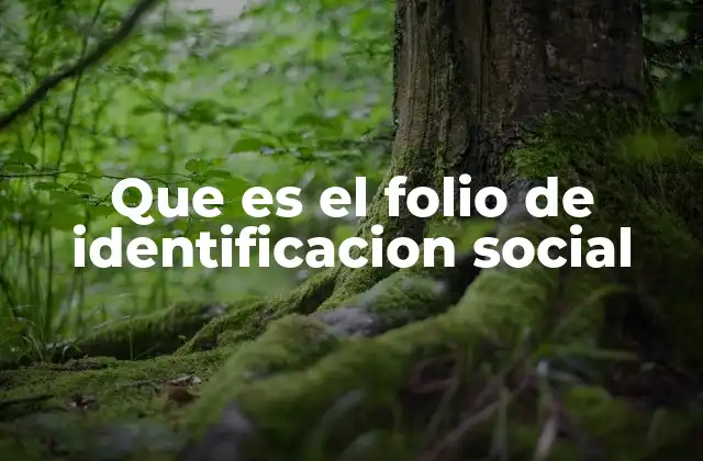 Que es el Folio de Identificacion Social