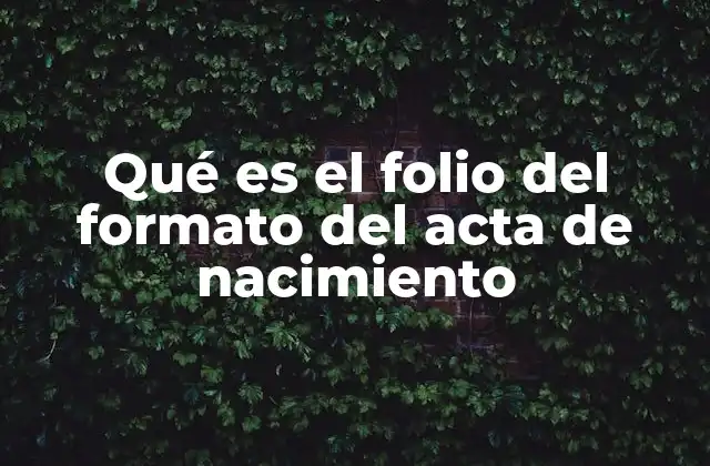 Qué es el Folio Del Formato Del Acta de Nacimiento 2 La importancia del folio en el contexto legal y administrativo