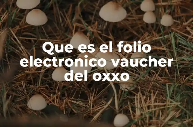 Que es el Folio Electronico Vaucher Del Oxxo