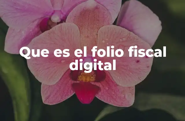 ¿Cómo se genera el folio fiscal digital?