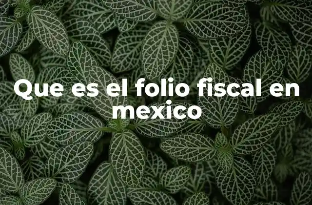 Que es el Folio Fiscal en Mexico