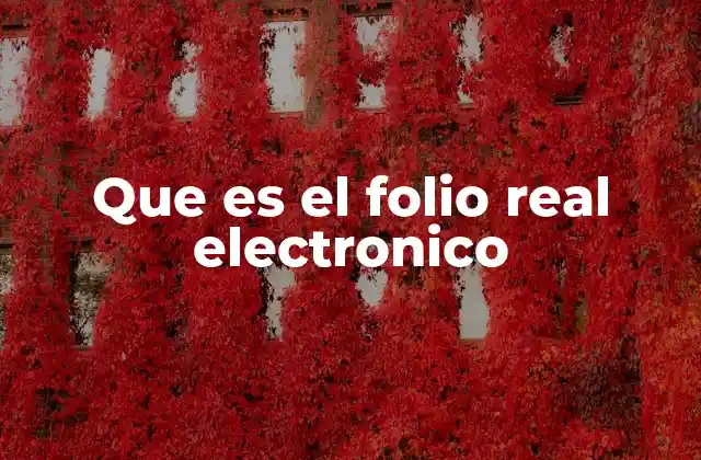 Que es el Folio Real Electronico