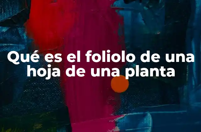Qué es el Foliolo de una Hoja de una Planta 2 Características anatómicas del foliolo en la botánica vegetal