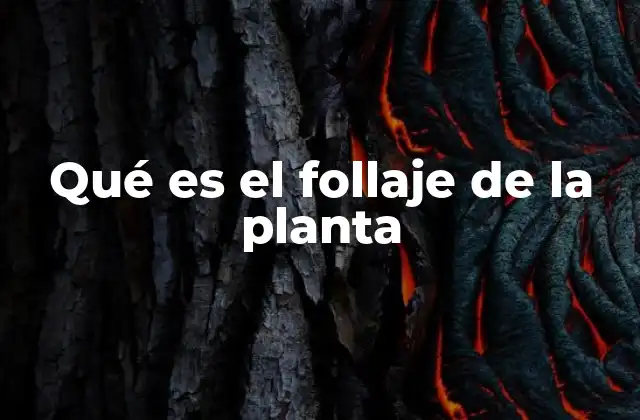 Qué es el Follaje de la Planta