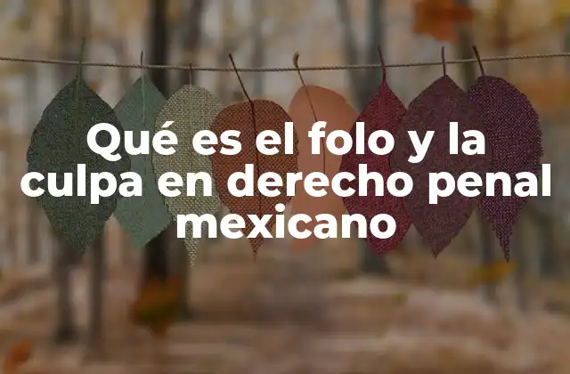 Qué es el Folo y la Culpa en Derecho Penal Mexicano