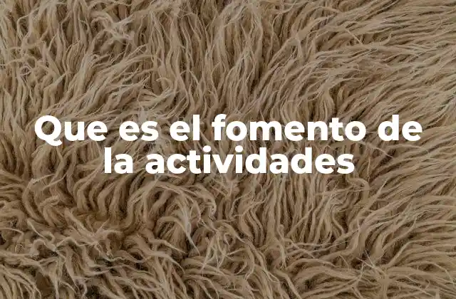 Cómo se aplica el fomento en diferentes contextos