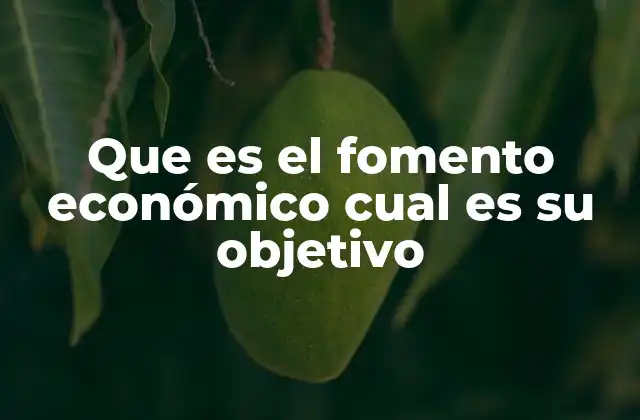 Que es el Fomento Económico Cual es Su Objetivo