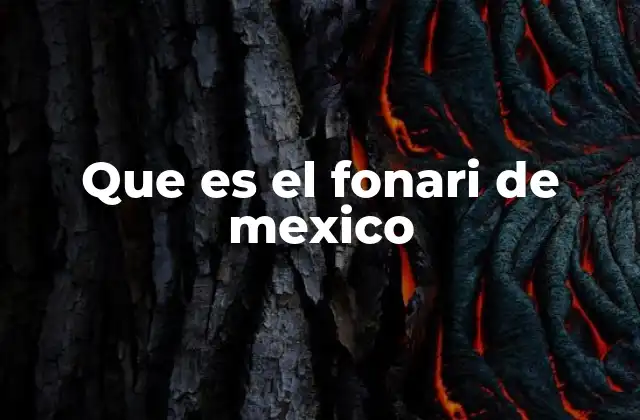 Que es el Fonari de Mexico