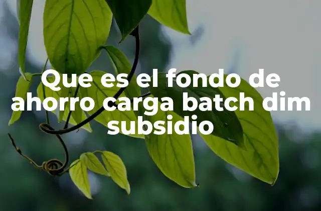 Que es el Fondo de Ahorro Carga Batch Dim Subsidio 2 Cómo funciona el sistema de ahorro con subsidios estatales