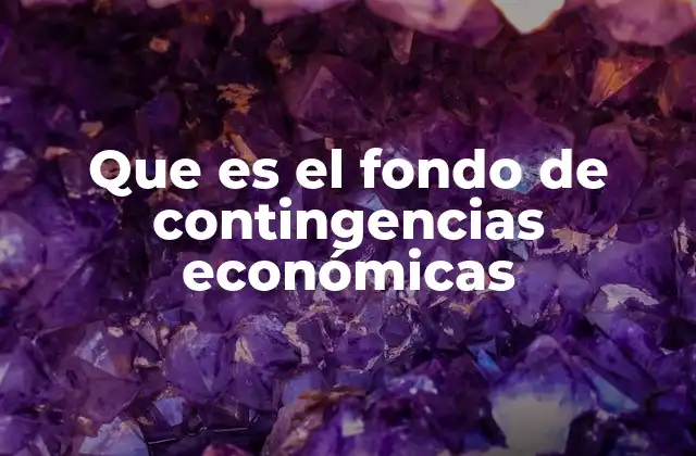 Que es el Fondo de Contingencias Económicas