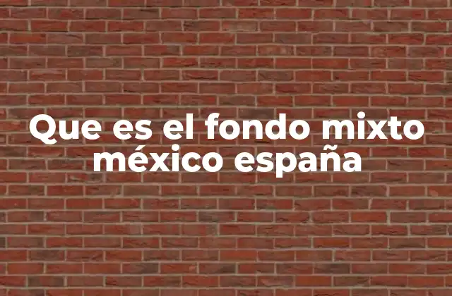 Que es el Fondo Mixto México España
