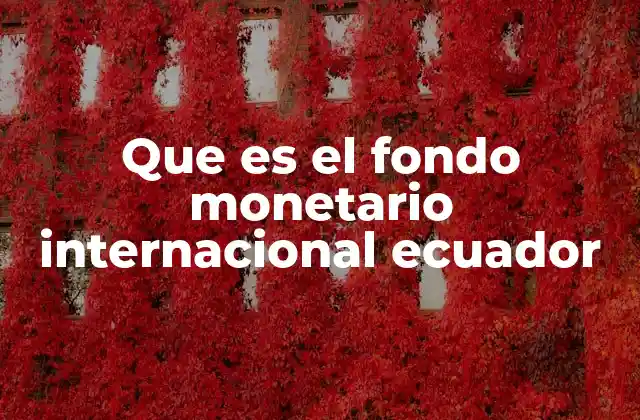 El papel del FMI en la economía ecuatoriana