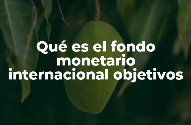 Qué es el Fondo Monetario Internacional Objetivos 2 La importancia de la cooperación internacional en la estabilidad económica