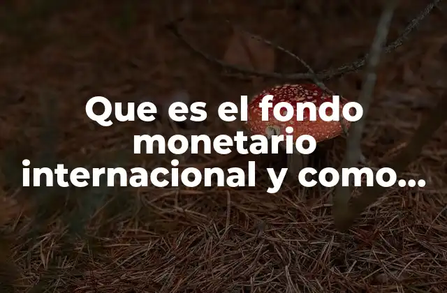 Que es el Fondo Monetario Internacional y como Funciona