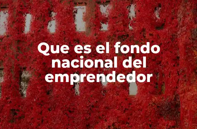 Que es el Fondo Nacional Del Emprendedor