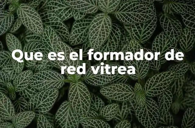 Que es el Formador de Red Vitrea