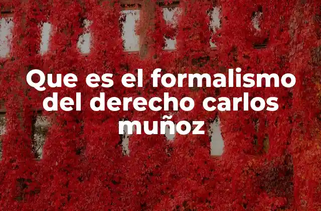 Que es el Formalismo Del Derecho Carlos Muñoz 2 La lógica y el ordenamiento jurídico en la teoría de Carlos Muñoz