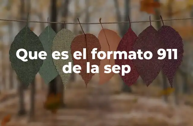 Que es el Formato 911 de la Sep