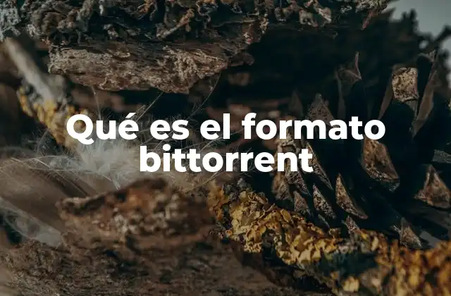 Cómo funciona el protocolo BitTorrent