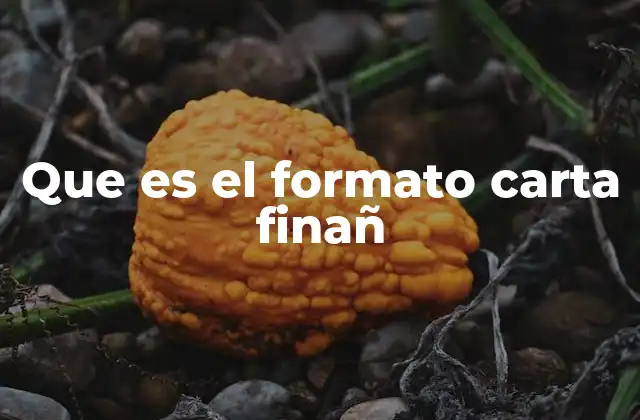 Que es el Formato Carta Finañ