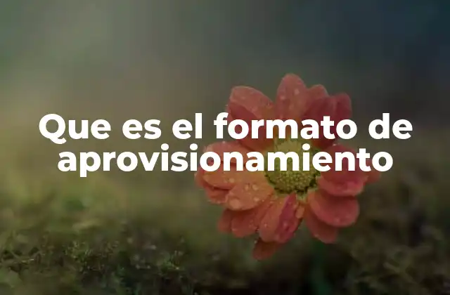 Que es el Formato de Aprovisionamiento