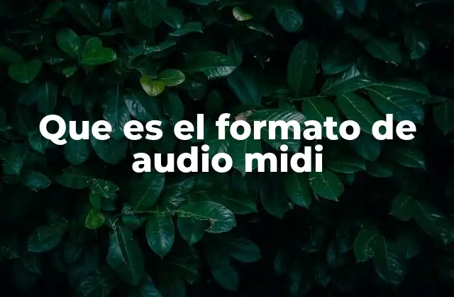 Que es el Formato de Audio Midi