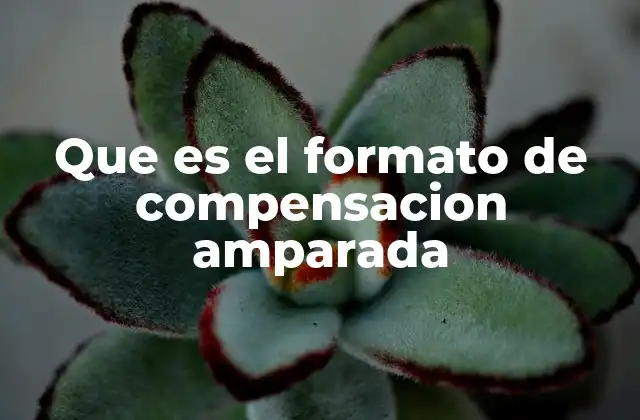 Que es el Formato de Compensacion Amparada