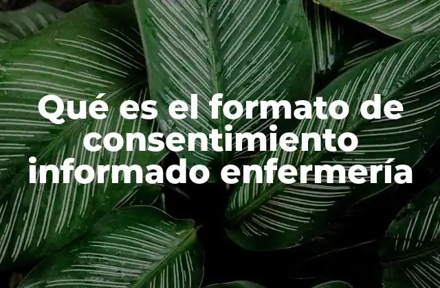 Qué es el Formato de Consentimiento Informado Enfermería
