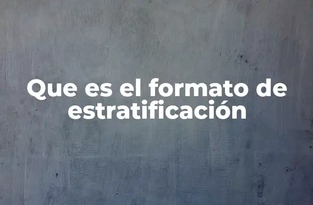 Que es el Formato de Estratificación