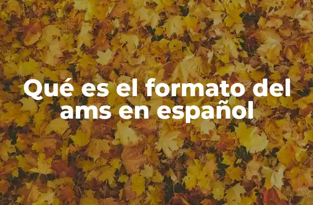 Qué es el Formato Del Ams en Español