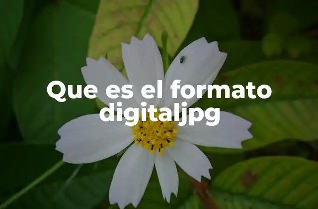 Que es el Formato Digitaljpg