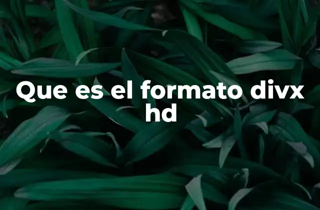 Que es el Formato Divx Hd