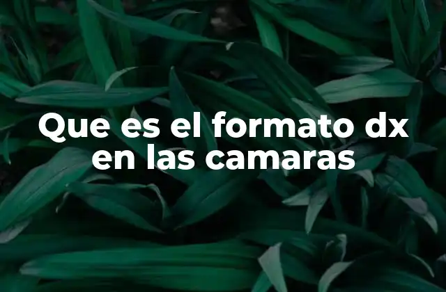 Que es el Formato Dx en las Camaras