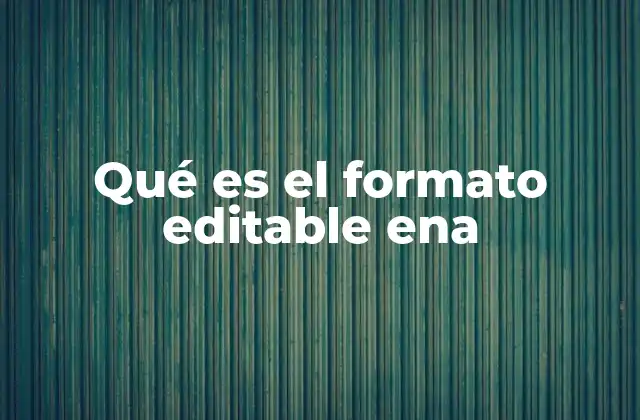 Qué es el Formato Editable Ena