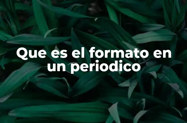 Que es el Formato en un Periodico