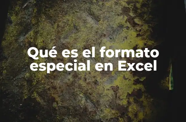 Qué es el Formato Especial en Excel