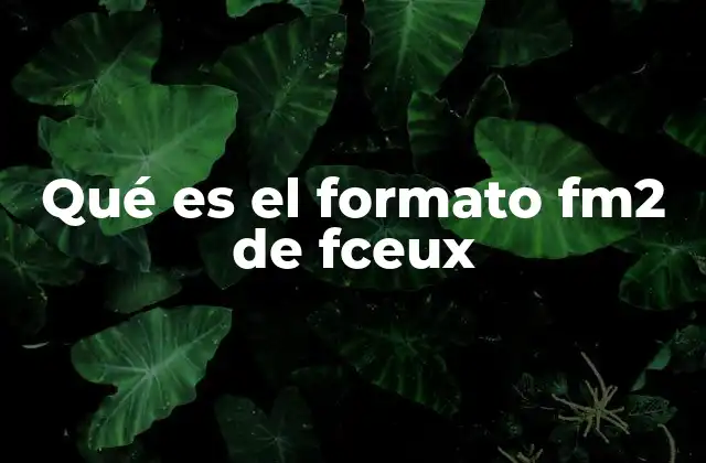 La importancia del formato FM2 en la emulación de juegos clásicos