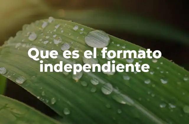 Que es el Formato Independiente 2 La filosofía detrás del formato independiente
