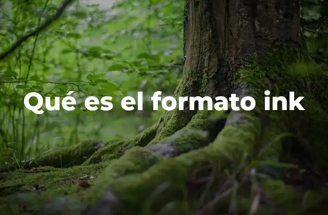 El papel del formato ink en la impresión digital