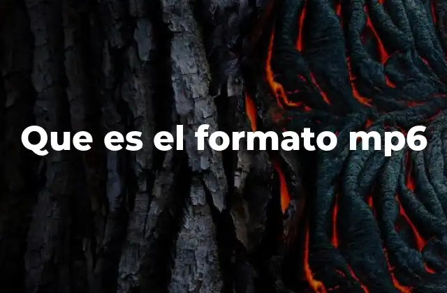 Que es el Formato Mp6