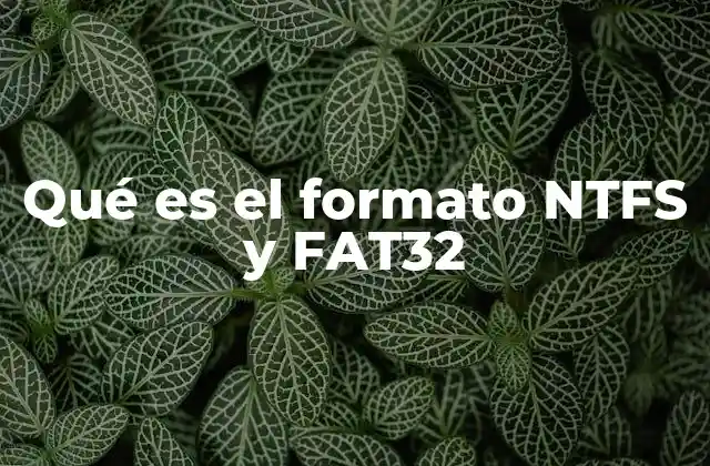 Diferencias entre NTFS y FAT32