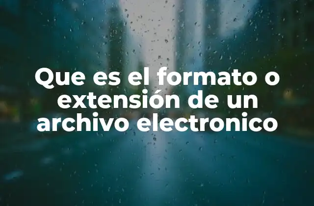 Que es el Formato o Extensión de un Archivo Electronico