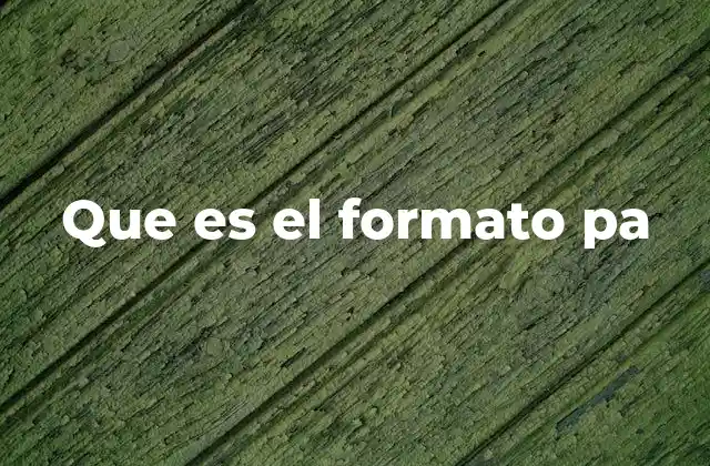 Que es el Formato Pa