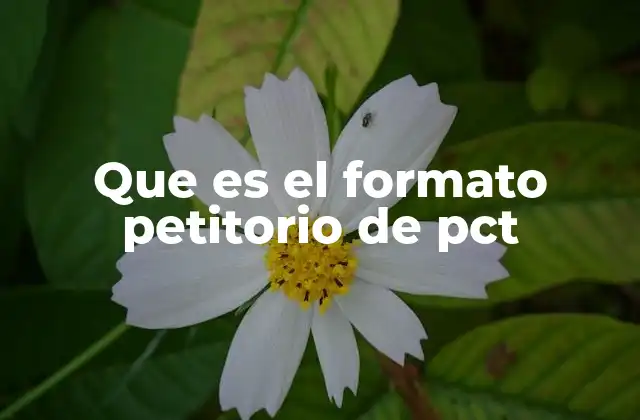 Que es el Formato Petitorio de Pct