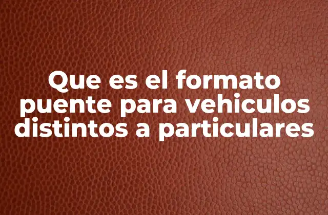 Que es el Formato Puente para Vehiculos Distintos a Particulares