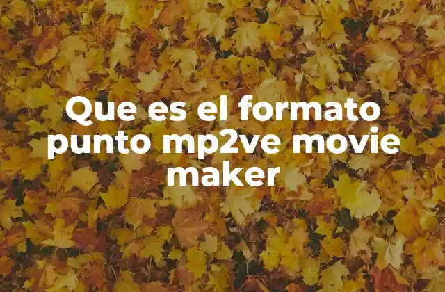 Que es el Formato Punto Mp2ve Movie Maker